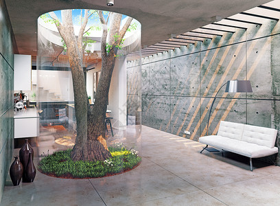 现代室内的生态真正的室内树三维图片