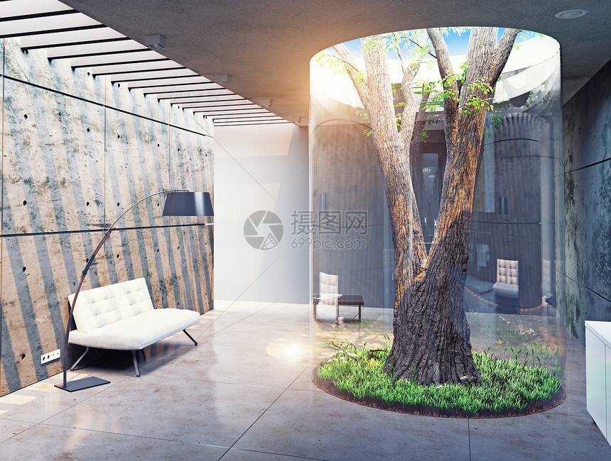 现代室内的生态真正的室内树三维图片
