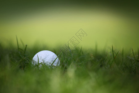 草地高尔夫球高尔夫球场天然草地上高尔夫球的图片