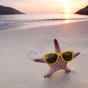 海滩上的海星海滩上的海星大海背景上美丽的日落图片