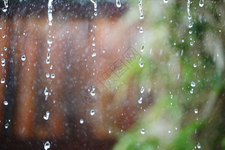 热带雨滴热带雨落得很近背景图片