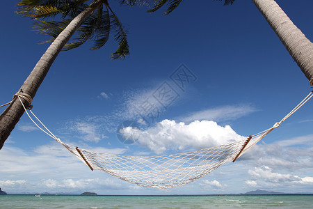 海滩上的空吊床热带海滩棕榈树的空吊床背景图片