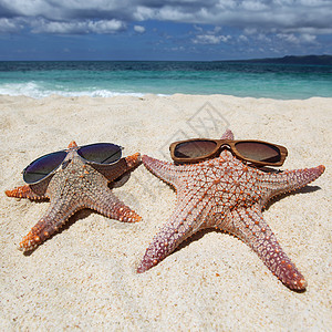 海滩上戴太阳镜的海星菲律宾热带海滩沙滩上戴太阳镜的海星背景图片