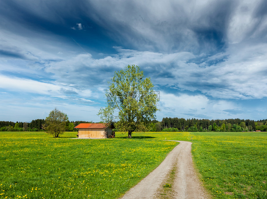 夏季草地的乡村道路上木屋巴伐利亚,德国图片