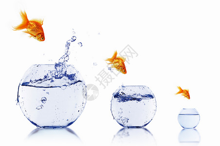 金鱼鱼缸里水里跳出来高清图片