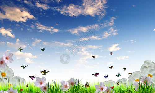 鲜花草地蓝天的图片,阳光灿烂图片