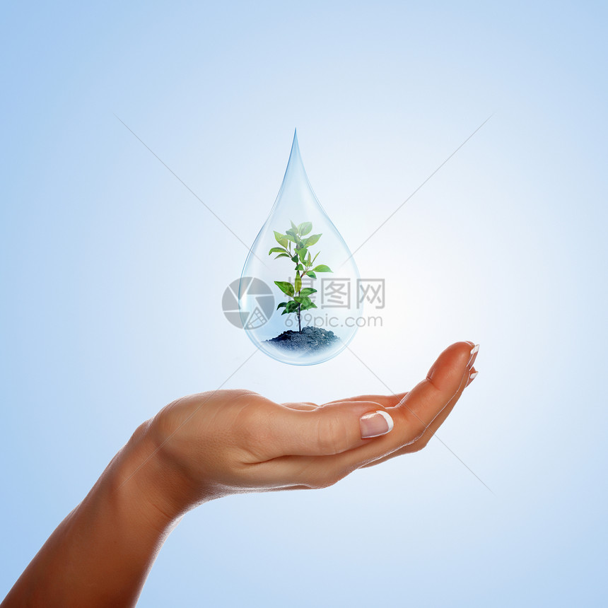 大滴水,芽,手支撑着它环境保护的象征图片