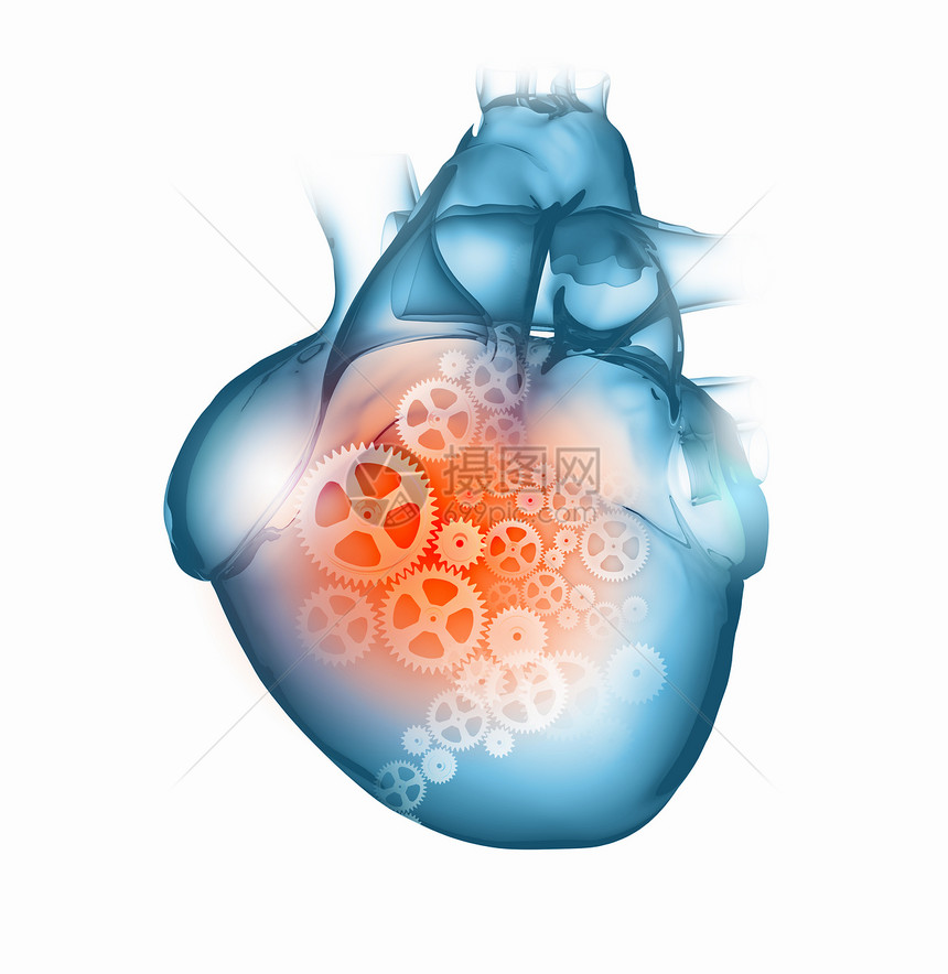 人类的心脏机制的人类心脏图像健康医学图片
