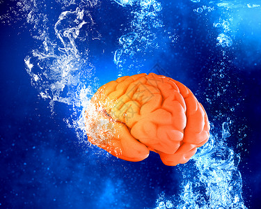 水下的大脑人脑漂浮清澈的蓝色水中图片