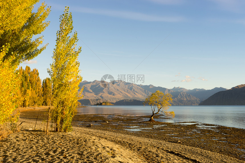 风景如画新西兰阿尔卑斯山湖泊的自然景观图片