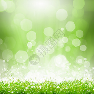 夏天的形象绿色的夏季草地,阳光光线图片