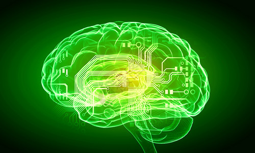 人类的头脑绿色背景下人脑的科学图像图片