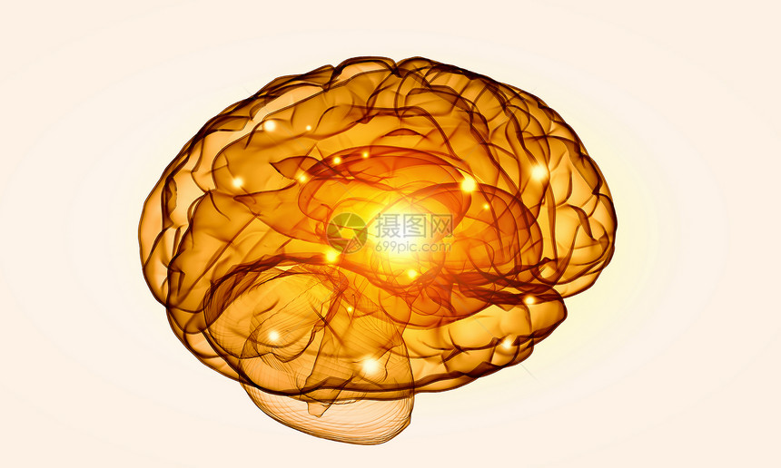 人类的头脑白色背景下人脑的科学图像图片