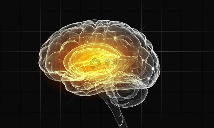 黑色背景下人脑的人类智力人类的大脑图片