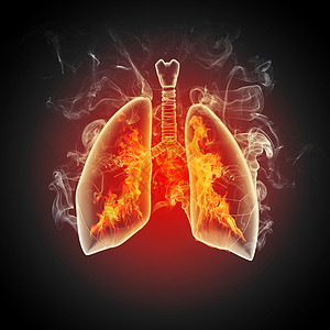 人类肺的示意图彩色背景上同元素的人类肺的示意图拼贴高清图片