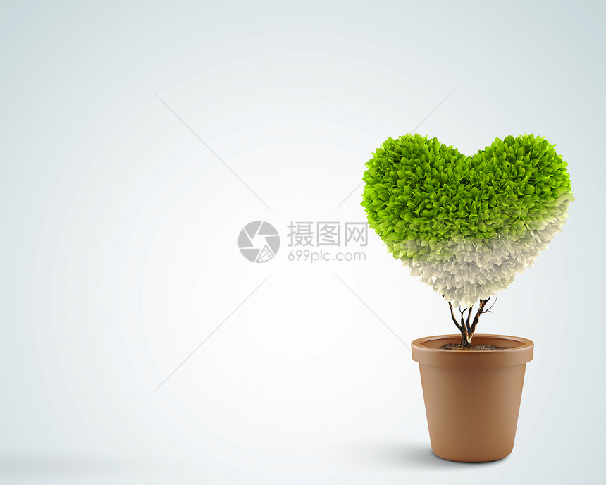 心的象征盆栽植物的形象,形状像心脏图片