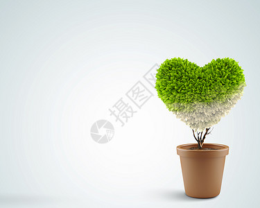 心脏树心的象征盆栽植物的形象,形状像心脏背景