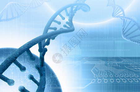 遗传信息DNA分子高科技DNA分子的生物化学背景背景