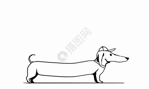 狗手绘黑白线达奇森德狗普通纹理背景上的达奇猎犬草图背景