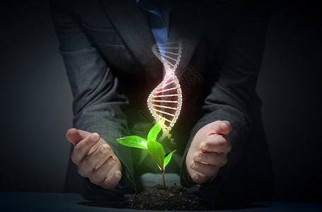机科学与DNA机科学与DNA轻的绿色萌芽上升图片