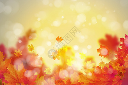 秋叶特写镜头秋天的叶子背景图像与秋叶文字的位置背景