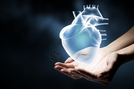 心脏护理紧紧握住人类的手,握住人类的心图片