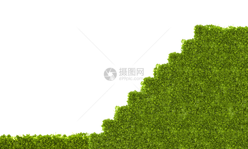 生态植物白色背景下的形状图片