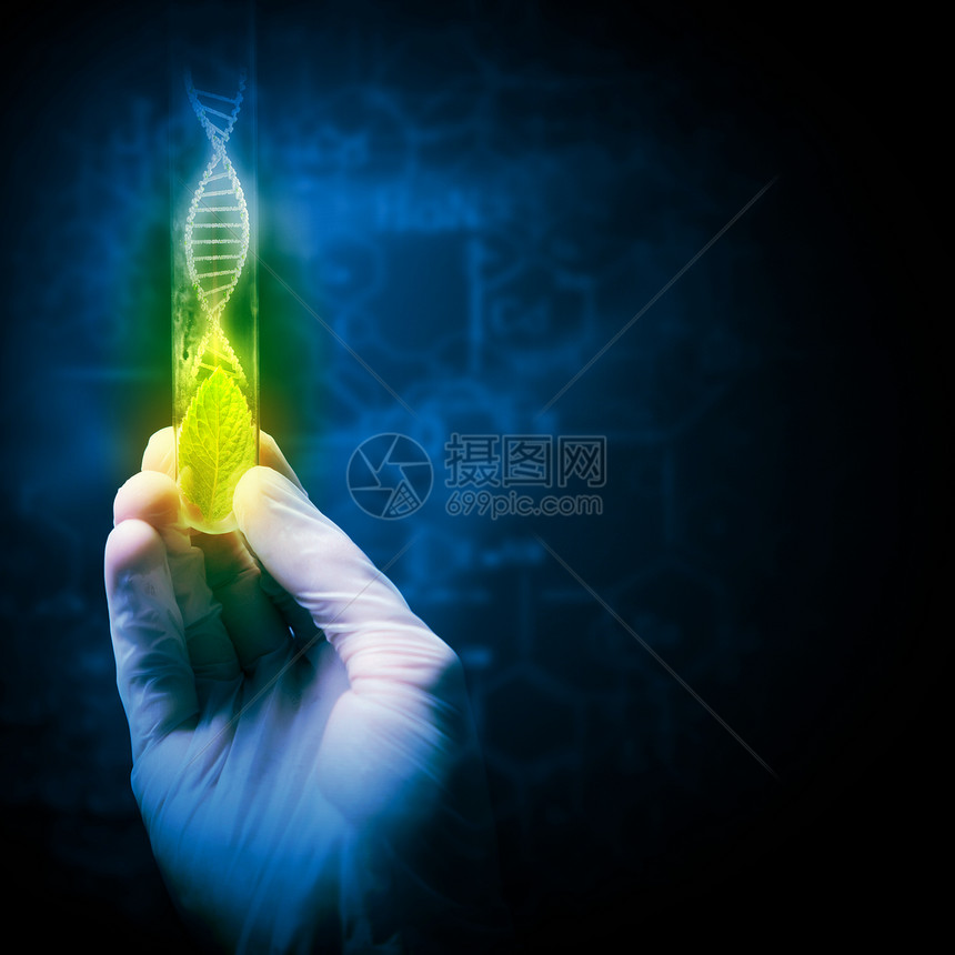 DNA分子特写人体手持试管的图像科学图片