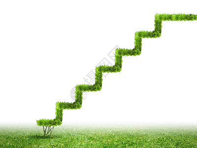 绿色植物绿色植物的形象,形状像梯子图片