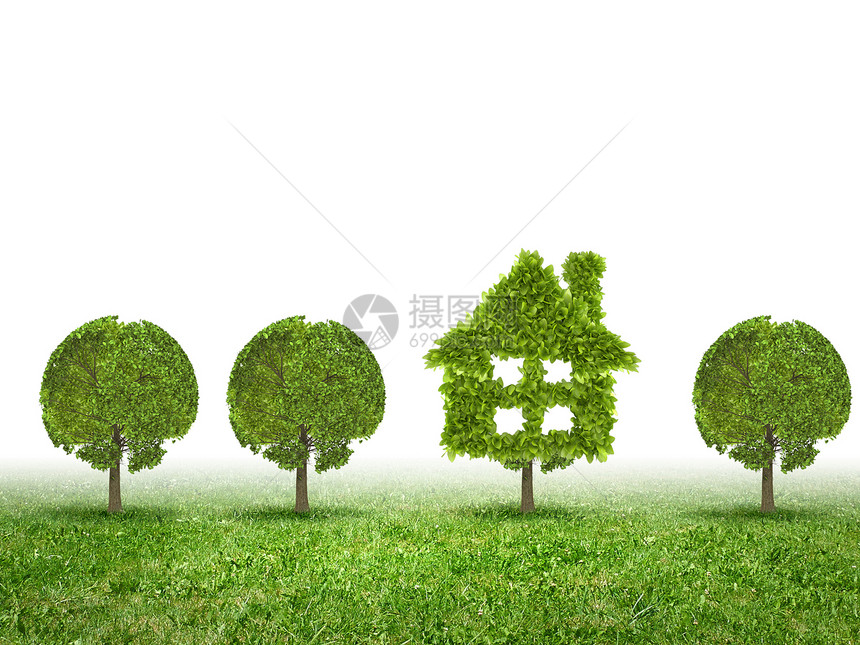 们爱们的星球绿色植物的形象,形状像房子图片
