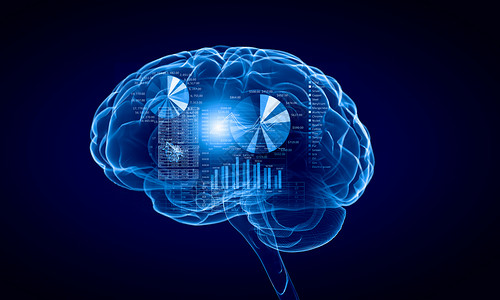 蓝色背景下人脑的人类智力人类的大脑图片