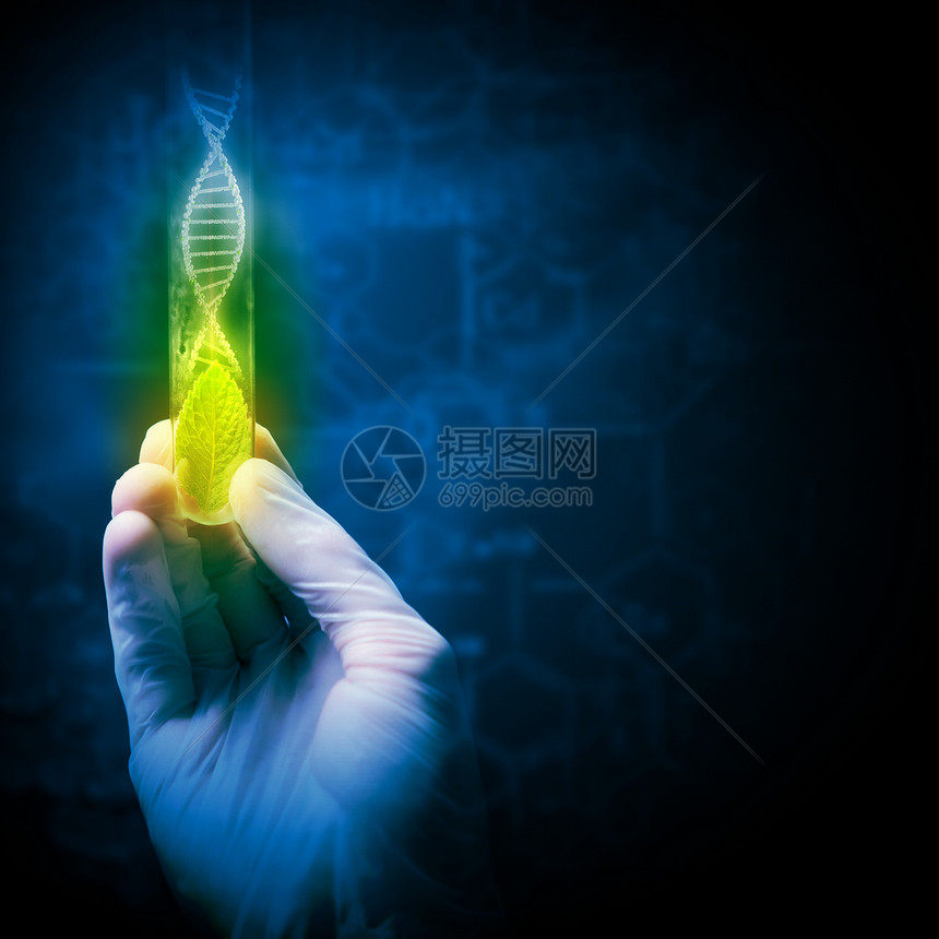 DNA分子特写人体手持试管的图像科学图片