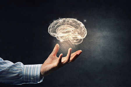 大脑记忆心理健康靠近人类的手,握住大脑共生体背景