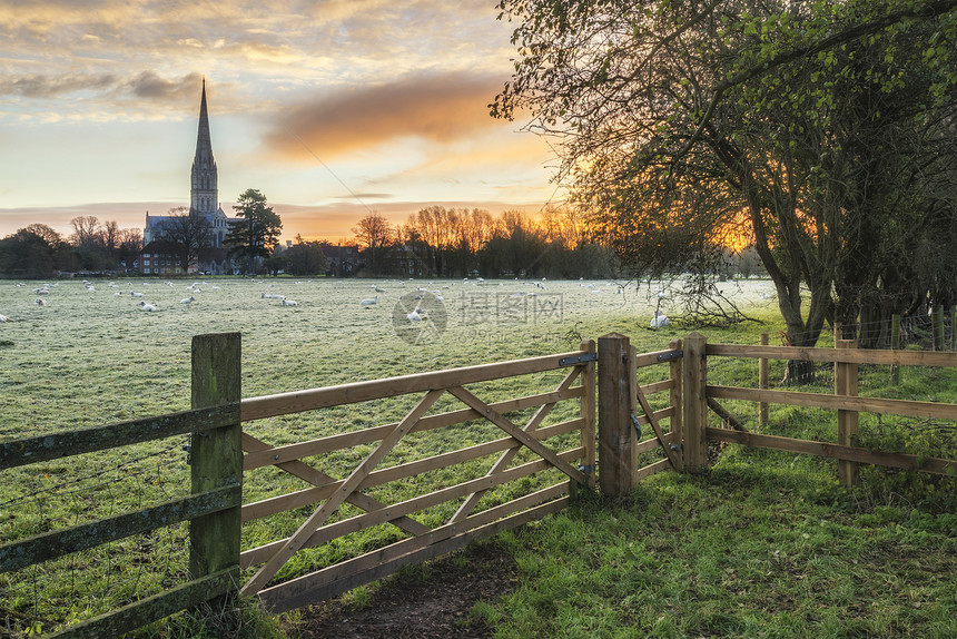 冬季日出景观索尔兹伯里大教堂城市英国图片
