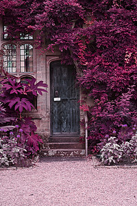 旧木门的石砖房子与交替超现实的彩色景观背景图片