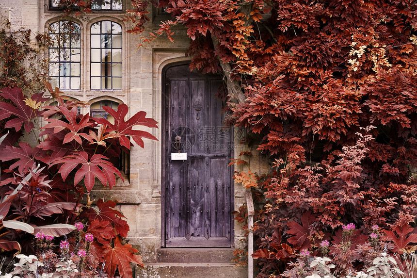 旧木门的石砖房子与交替超现实的彩色景观图片