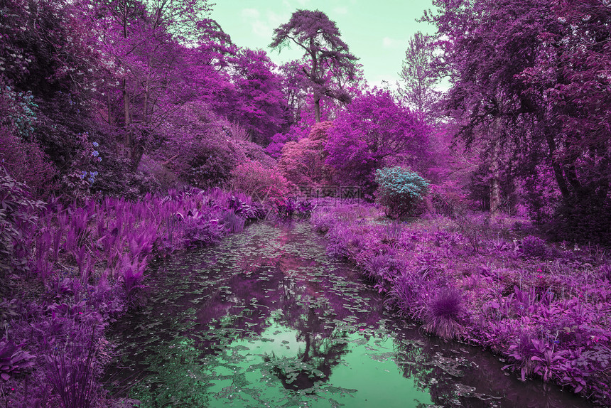 令人红外线替代颜色景观图像的树木河上图片
