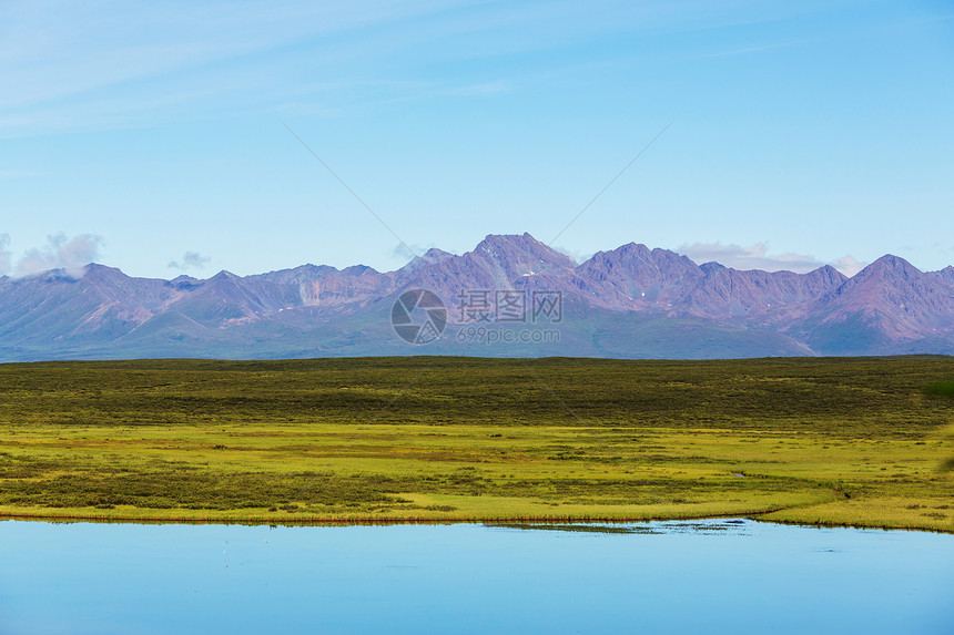 阿拉斯加苔原的宁静湖图片