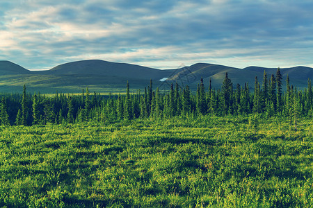 北极圈上方的苔原景观高清图片