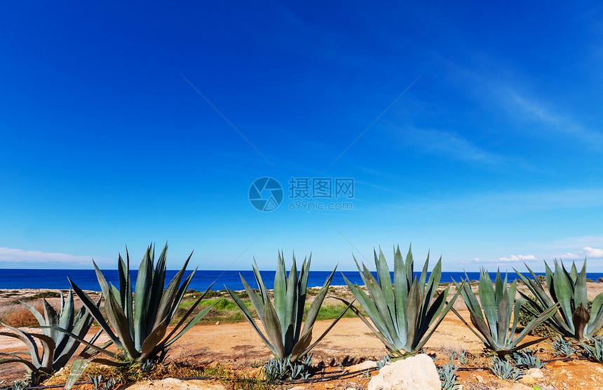 塞浦路斯海上度假村图片