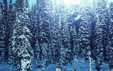 冰川公园,蒙大冬天图片