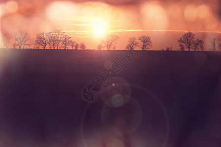 日落时的田野图片