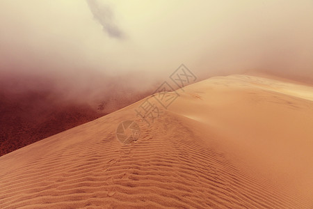 撒哈拉沙漠的沙丘背景图片