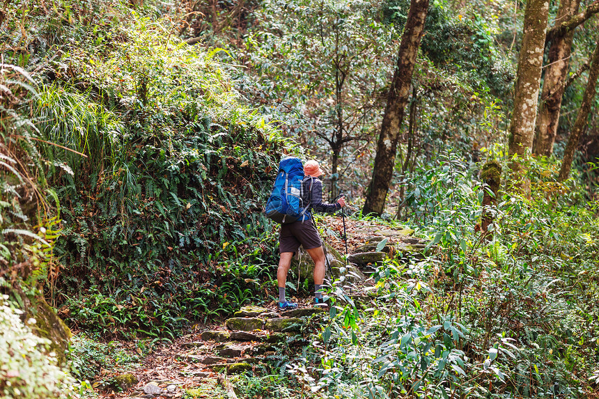 喜马拉雅丛林里的徒步旅行者,尼泊尔,坎肯琼加地区图片