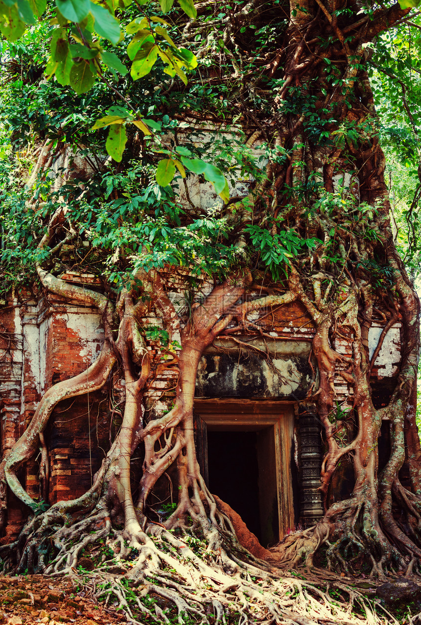 柬埔寨吴哥古遗址图片