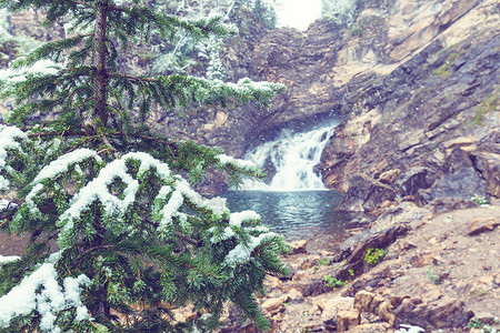 初冬,次雪覆盖岩石森林冰川公园,蒙大,美国图片