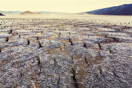 干旱地纹理沙漠中的旱地背景
