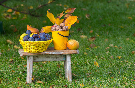 秋天的场景,花园里水果核桃秋天的美丽图片