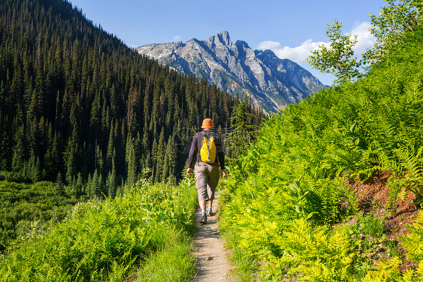 加大山区徒步旅行的人徒步旅行北美最受欢迎的娱乐活动活动很多风景如画的小径图片