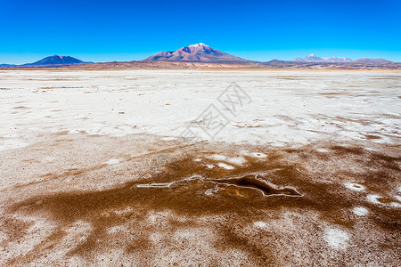 利维亚智利边境的安斯山脉的奥拉格层压火山图片